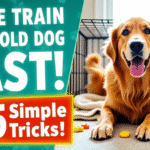 5 Easy Steps to Crate Train an Older Dog Without Stress