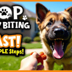 7 Steps to Train an Aggressive Puppy Without Losing Patience
