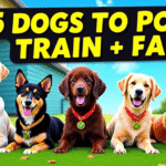 5 Dog Breeds That Are Easiest to Potty Train