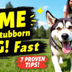 7 Effective Dog Training Tips for Stubborn Dogs