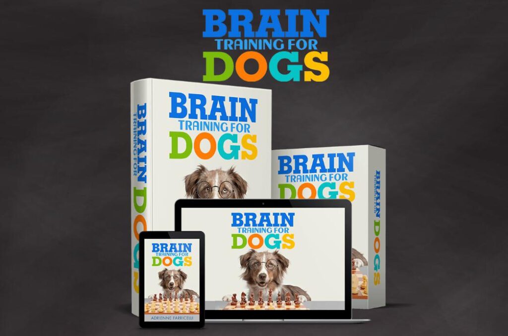 braintrainingfordogs review