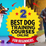 2 Best Dog Training Courses Online For Beginners in USA